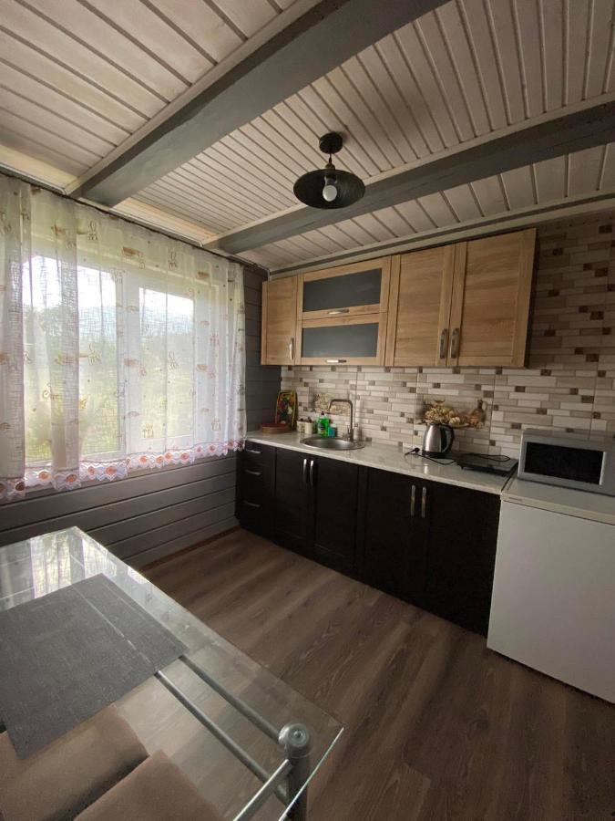 Кришталеві Вершини Villa Vorokhta Exterior photo